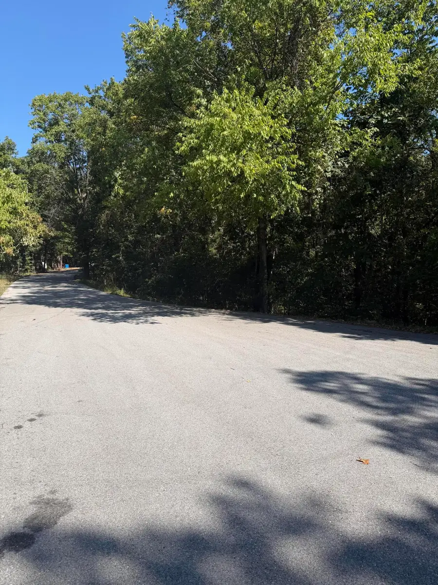 Lot 11 Tower Road, Highlandville, MO 65669 - #3