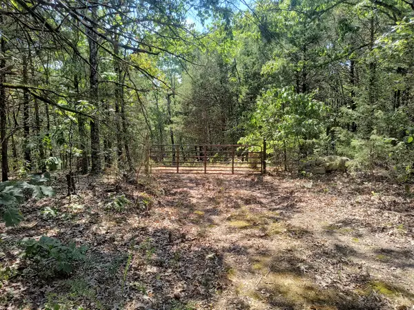 000 California Lane, Theodosia, MO 65761