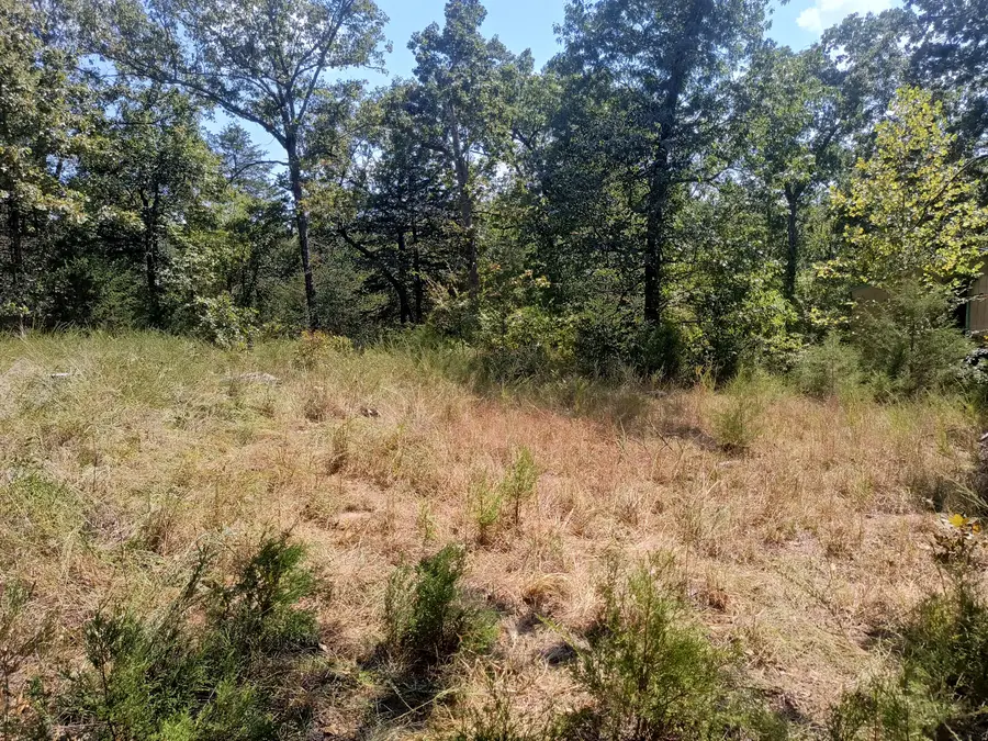 000 California Lane, Theodosia, MO 65761 - #2