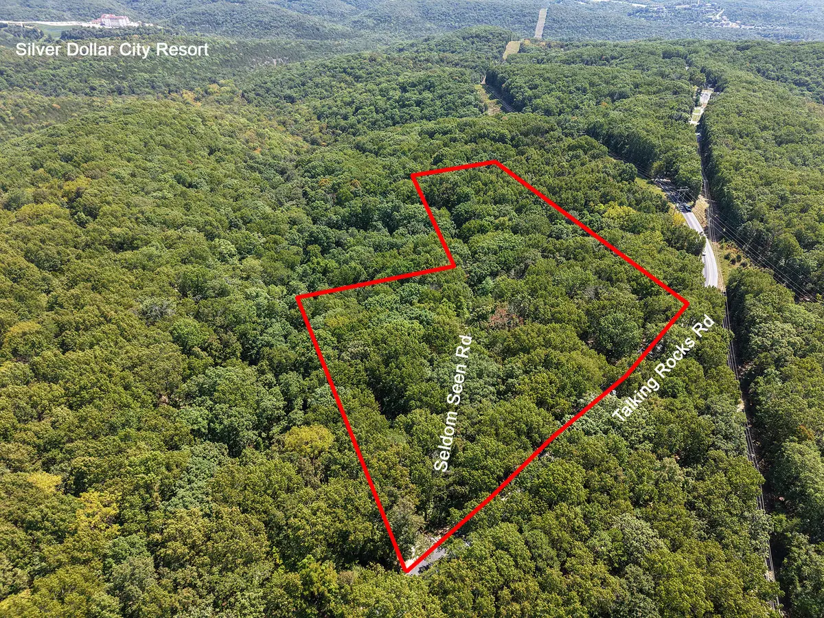 62 Seldom Seen Lane, Branson West, MO 65737 - #1