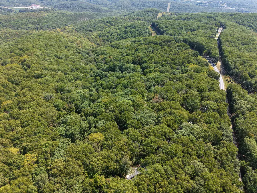 62 Seldom Seen Lane, Branson West, MO 65737 - #2