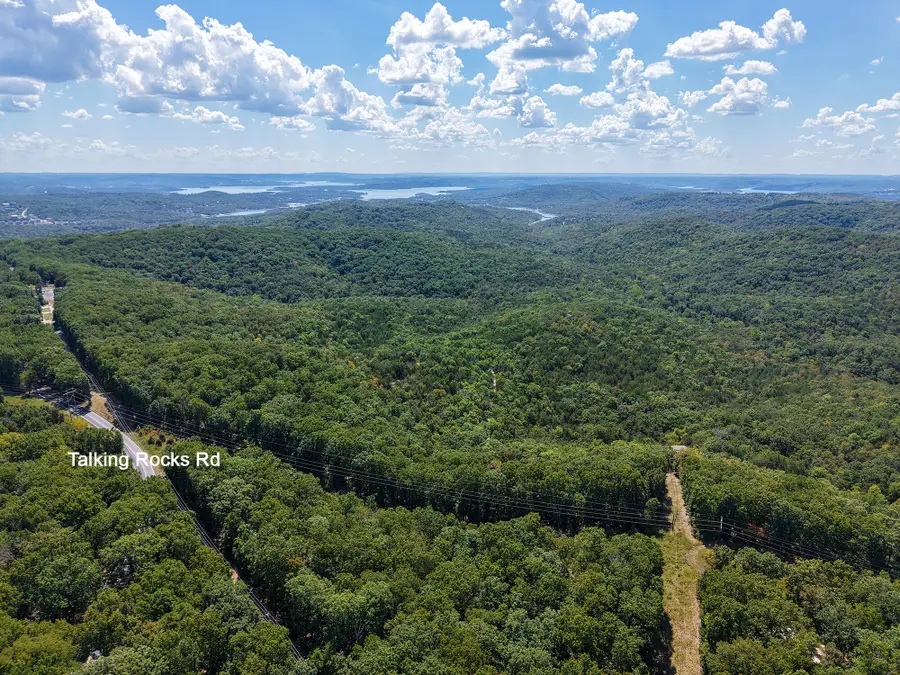 62 Seldom Seen Lane, Branson West, MO 65737 - #3