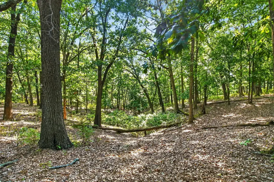 14 Buena Vista Parkway, Strafford, MO 65757 - #3