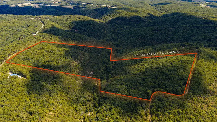 Tract Z&T Red Rock Road, Galena, MO 65656 - #3