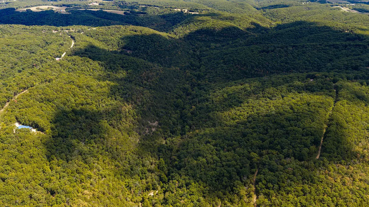 Tract Z Red Rock Road, Galena, MO 65656 - #1