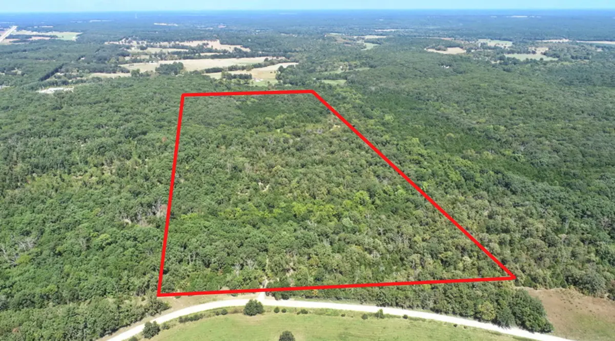 000 SE 500 Road, Collins, MO 64738 - #1