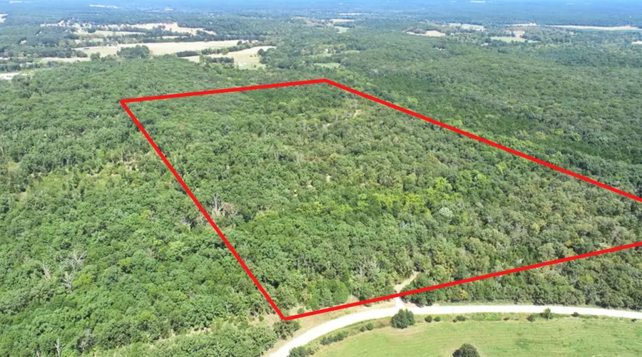 000 SE 500 Road, Collins, MO 64738 - #2