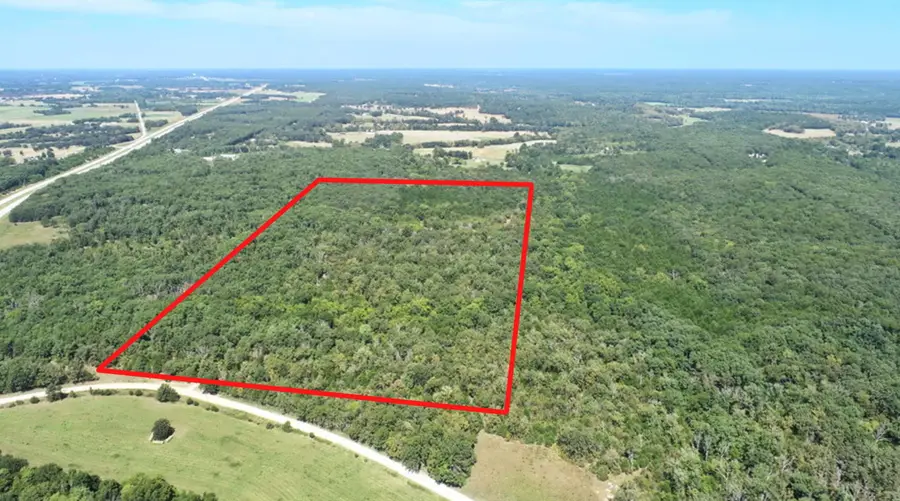 000 SE 500 Road, Collins, MO 64738 - #3