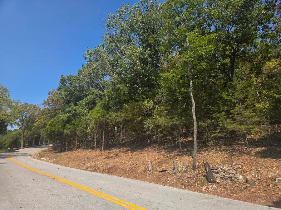 000 Cahill Road, Branson, MO 65616 - #3