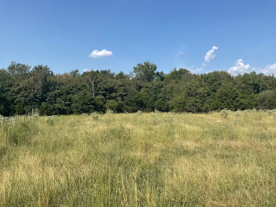 000 Rose Bush Drive, Marshfield, MO 65706 - #2