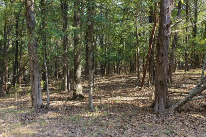 000 Lazy Acres Road, Protem, MO 65733 - #3