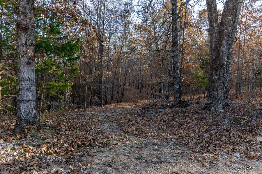 2112 County Road 348, Thayer, MO 65791 - #3