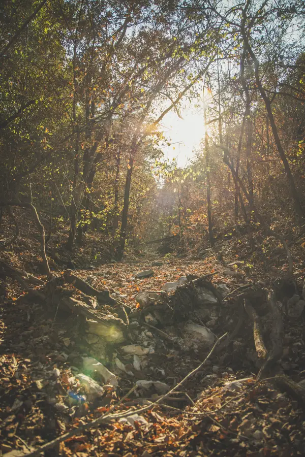 000 Boone Hollow Rd Road, Powell, MO 65730