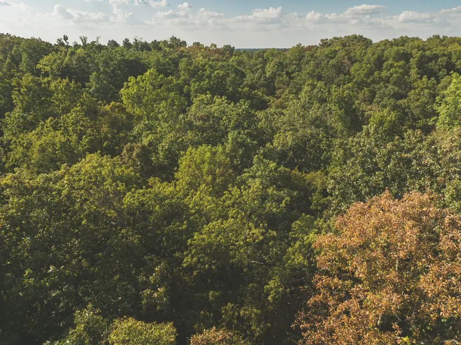 000 Boone Hollow Rd Road, Powell, MO 65730 - #2