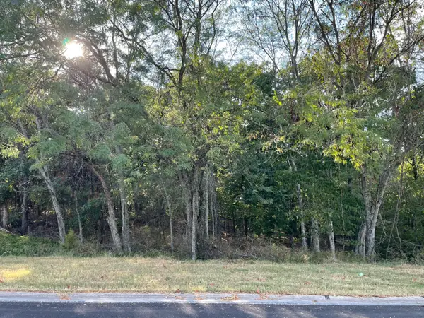 213 N Rainbow Drive, Branson, MO 65616