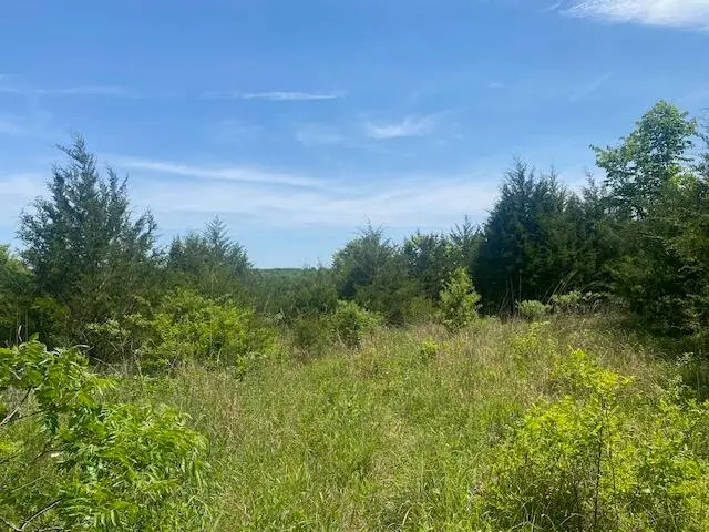 001 Flint Hollow Road, Seymour, MO 65746 - #1