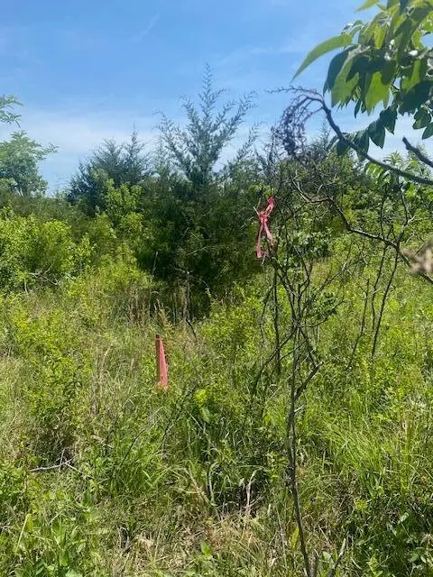 001 Flint Hollow Road, Seymour, MO 65746 - #2