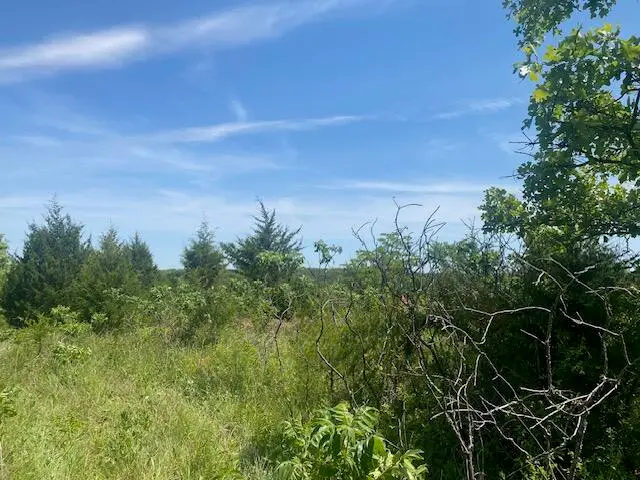 001 Flint Hollow Road, Seymour, MO 65746 - #3