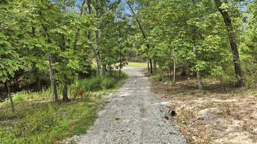6094 Private Road 1606, West Plains, MO 65775 - #3