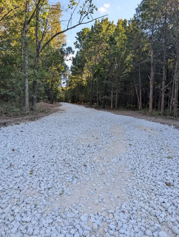 000 Honey Creek Drive #Lot 3, Strafford, MO 65757