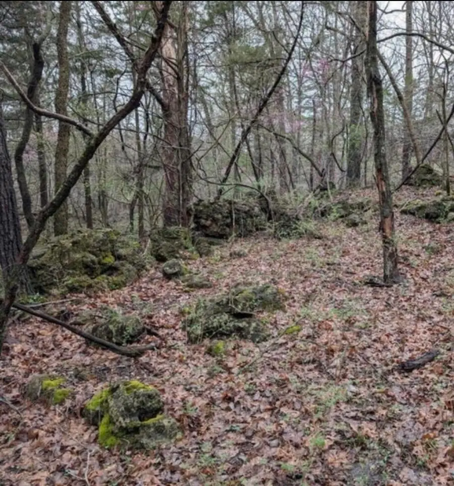 000 Honey Creek Drive #Lot 3, Strafford, MO 65757 - #3
