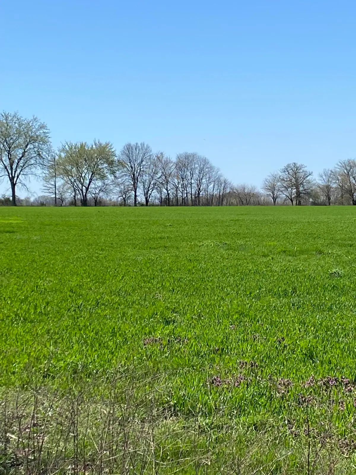 000 Farm Road 1090, Cassville, MO 65625 - #1