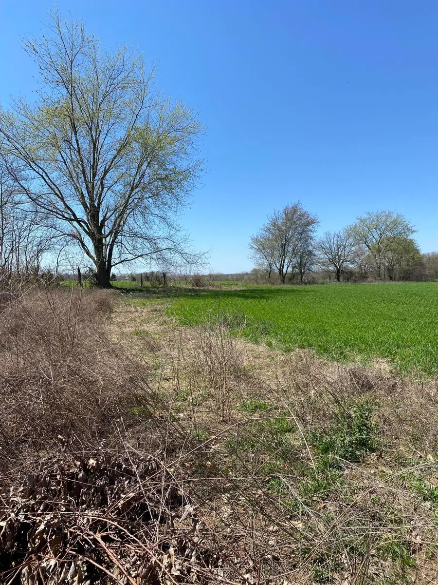 000 Farm Road 1090, Cassville, MO 65625 - #2