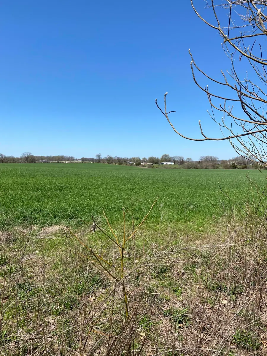000 Farm Road 1090, Cassville, MO 65625 - #3