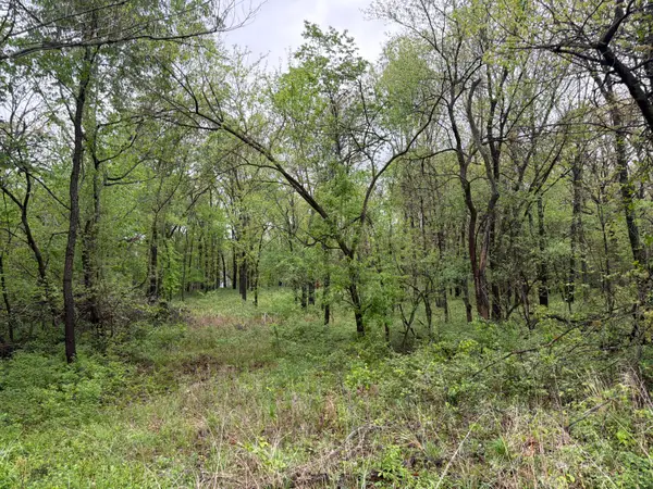 Tract 2 Ivy Road #10903200000018001, Carthage, MO 64836