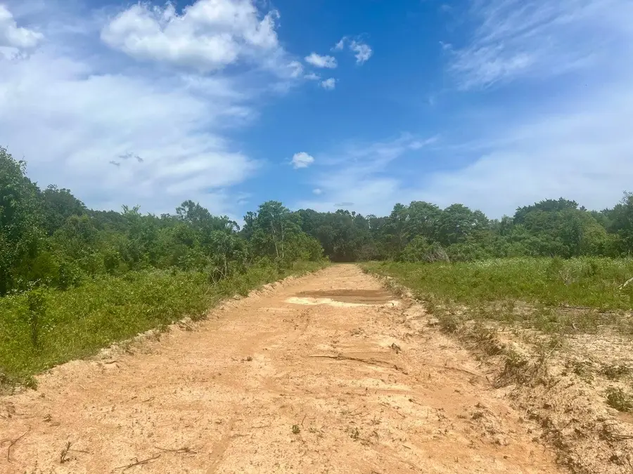 Lot 7 State Highway 112, Cassville, MO 65625 - #2