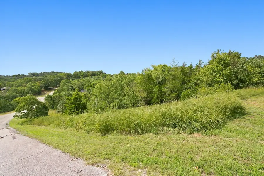 000 Hummingbird Hills Lane, Branson, MO 65616 - #2