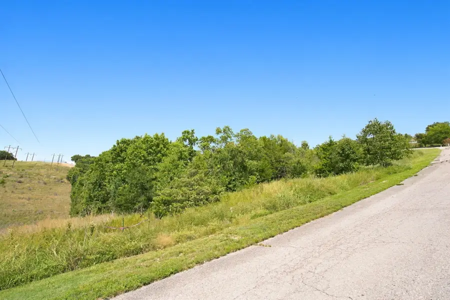 000 Hummingbird Hills Lane, Branson, MO 65616 - #3