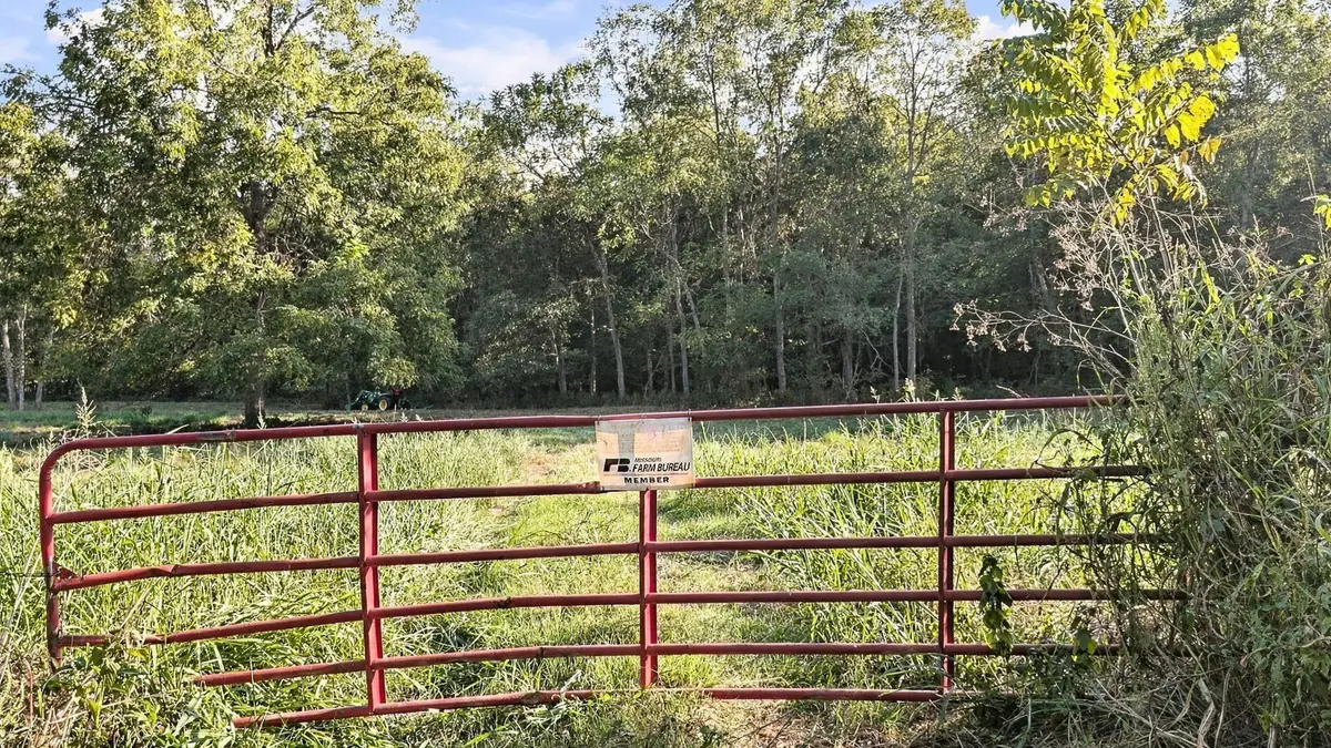 000 County Road 9160, Koshkonong, MO 65692 - #1