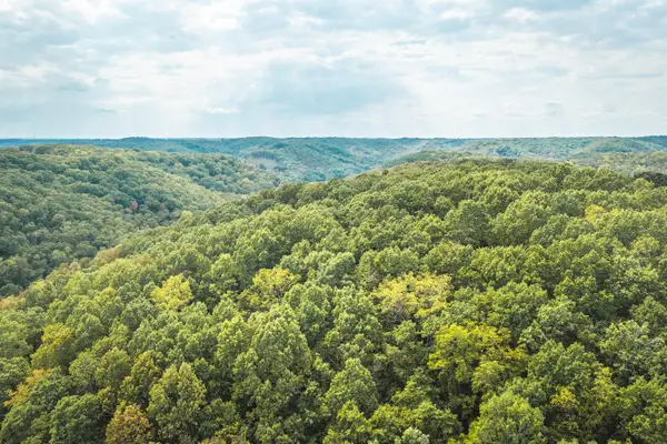 1190 Us Highway 160, Reeds Spring, MO 65737