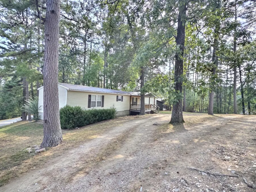 216 Hillcrest Circle, Van Buren, MO 63965 - #2