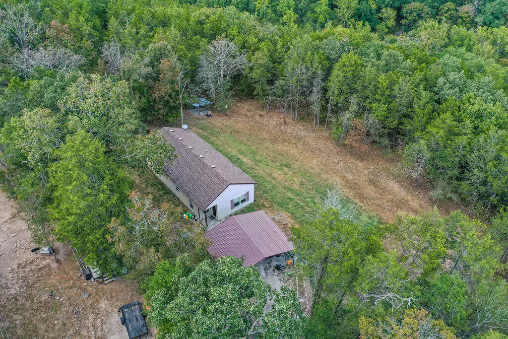 1053 Cane Creek Road, Kissee Mills, MO 65680 - #1