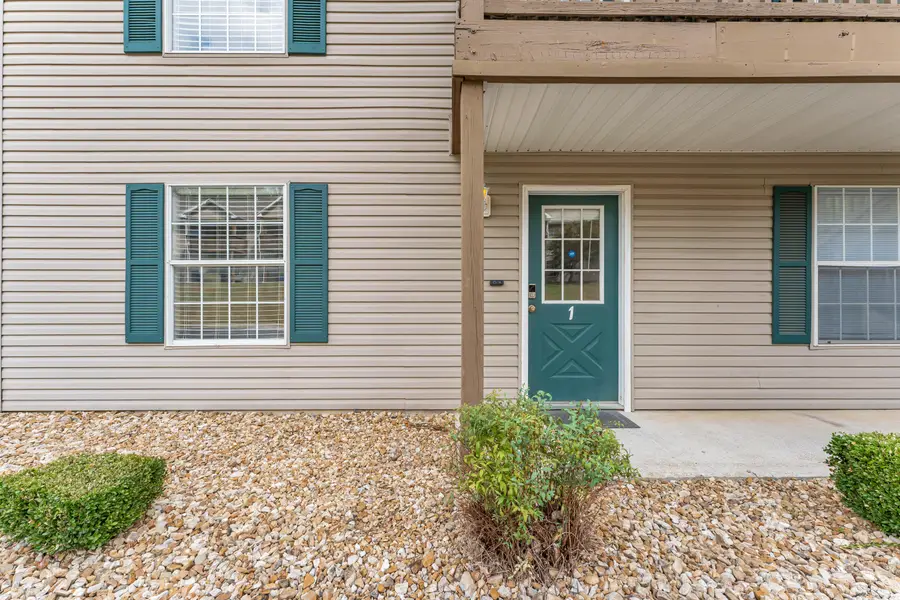 490 Abby Lane #,1, Branson, MO 65616 - #2
