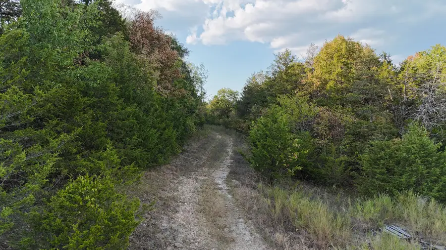 Tbd Deer Valley Drive, Branson, MO 65616 - #3