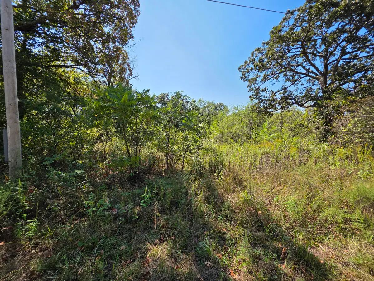 000 E Abbott Road, Schell City, MO 64783 - #1