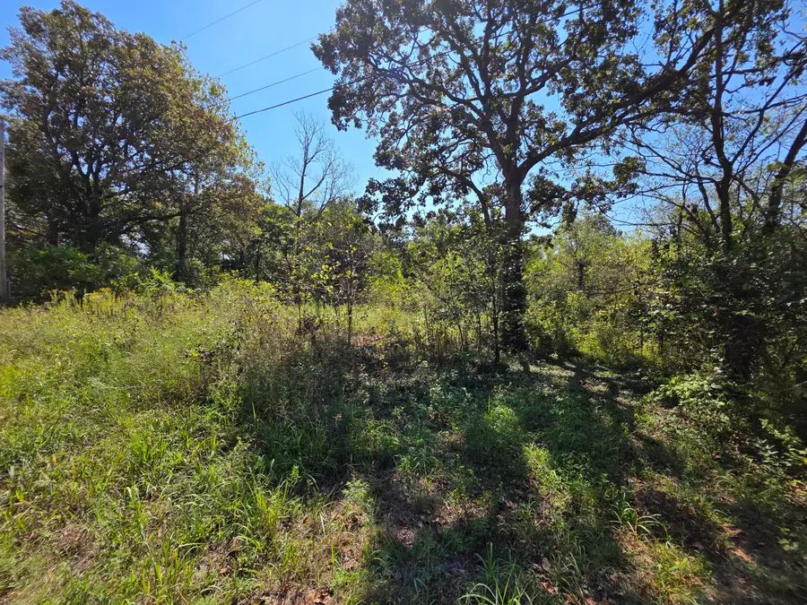 000 E Abbott Road, Schell City, MO 64783 - #2