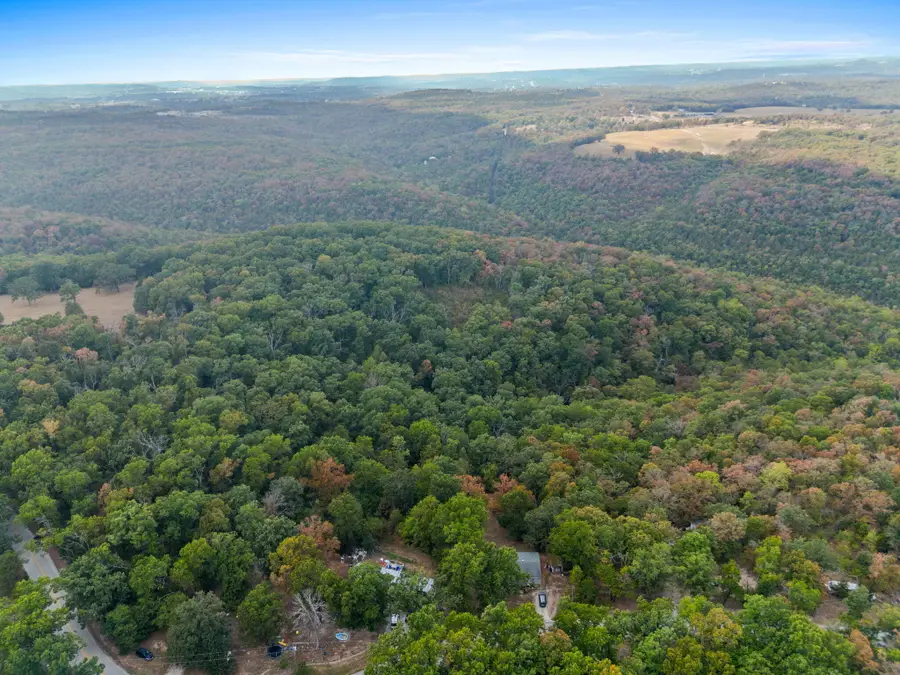 655 Rustic Acres Road, Kirbyville, MO 65679 - #3