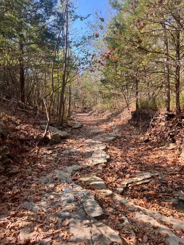 000 Moore Road, Mountain Grove, MO 65711