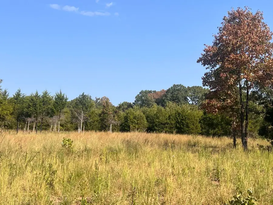 000 Moore Road, Mountain Grove, MO 65711 - #2