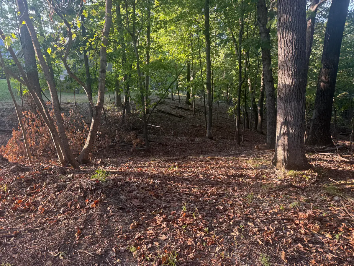 000 Lake Road, Sunrise Beach, MO 65079 - #1