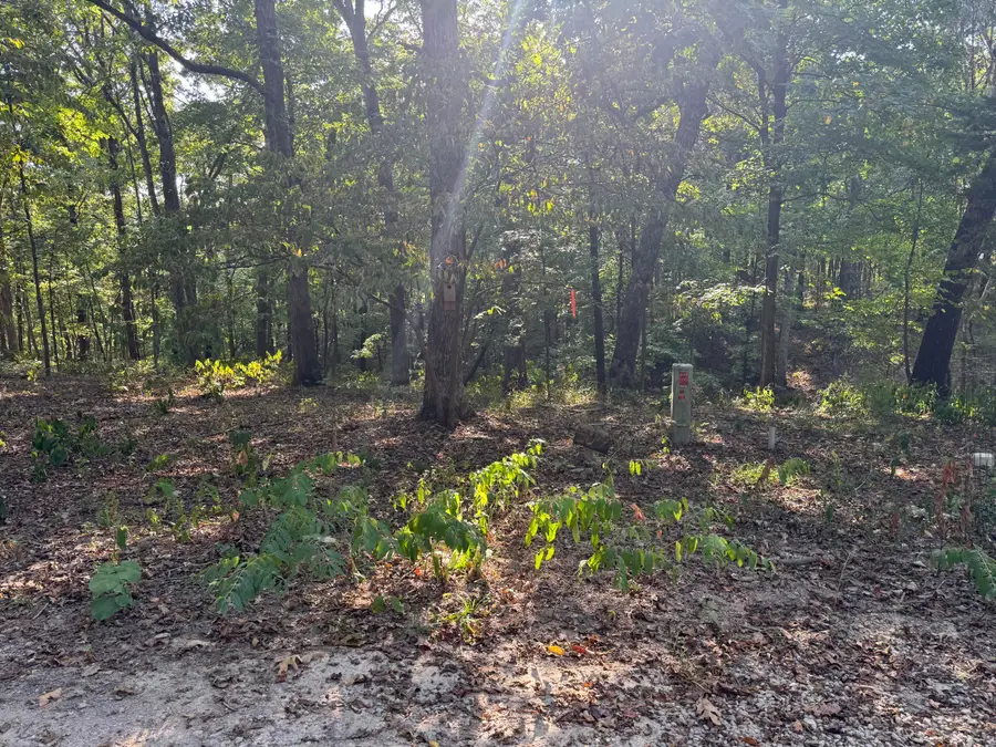 Xxxx Coyote Ridge Road #Lot 50, Cassville, MO 65625 - #2