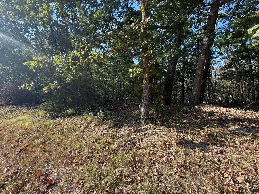 7 Columbine Road, Lake Ozark, MO 65049 - #3
