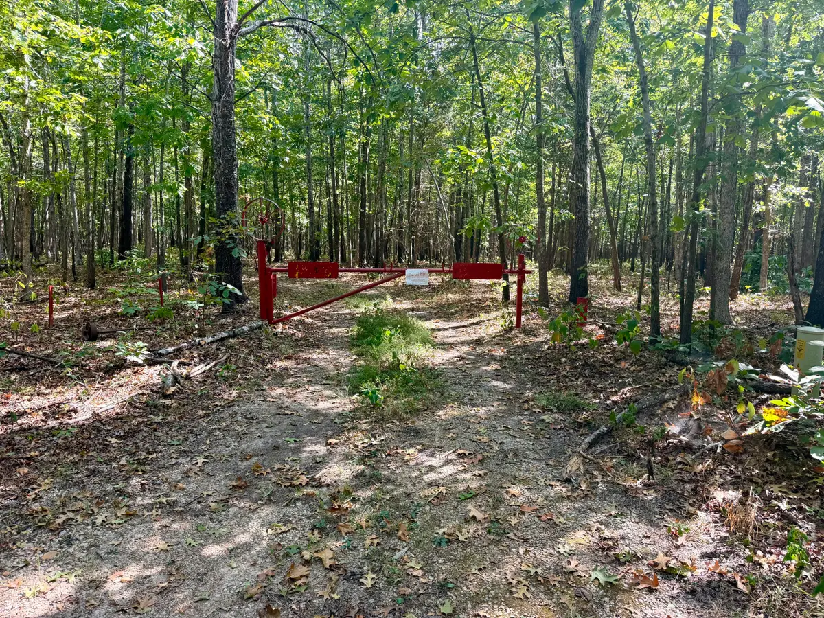 196 Forest Rd 9673, Fremont, MO 63941 - #1