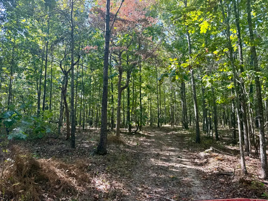 196 Forest Rd 9673, Fremont, MO 63941 - #2