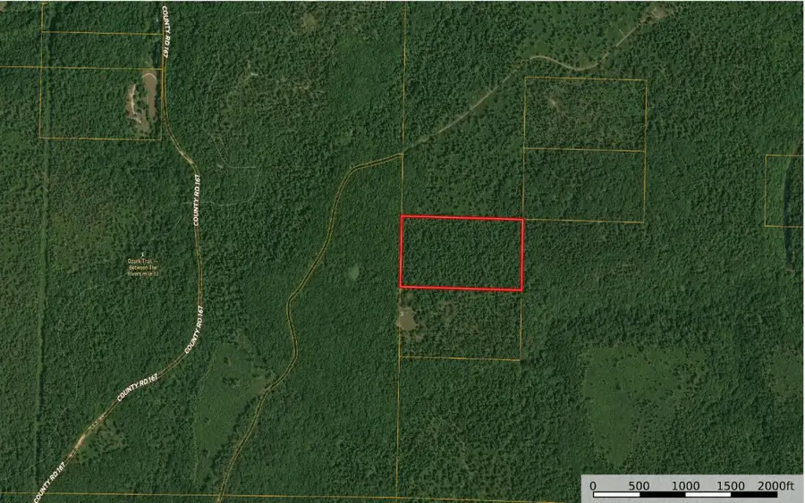 196 Forest Rd 9673, Fremont, MO 63941 - #3