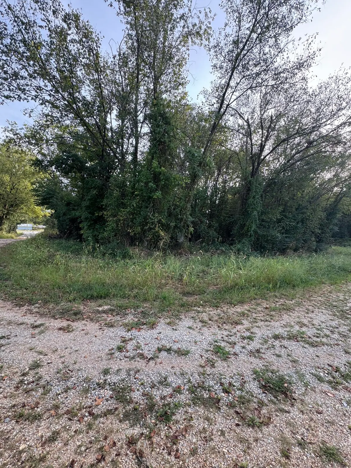 000 County Road 203, Couch, MO 65690 - #1